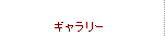 ギャラリー